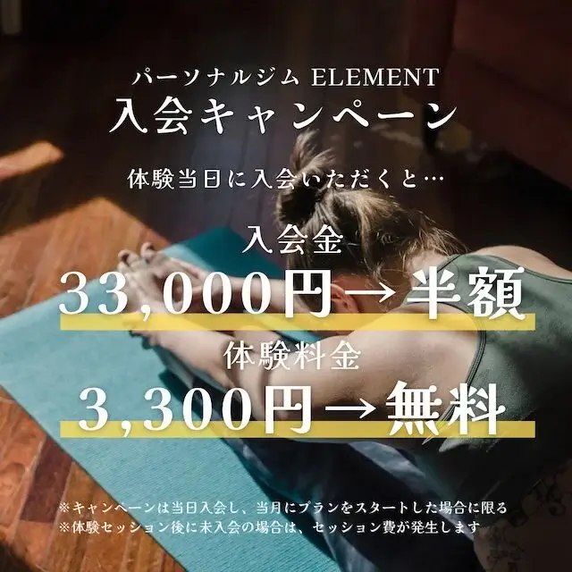 ELEMENT　キャンペーン