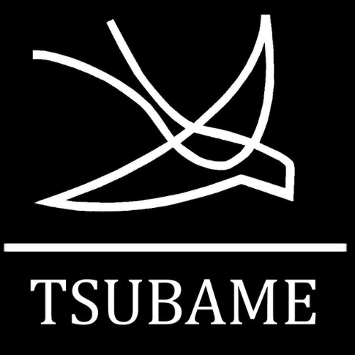 TSUBAME